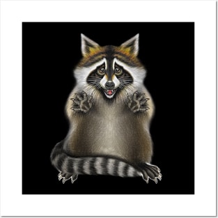 Raccoon Posters and Art